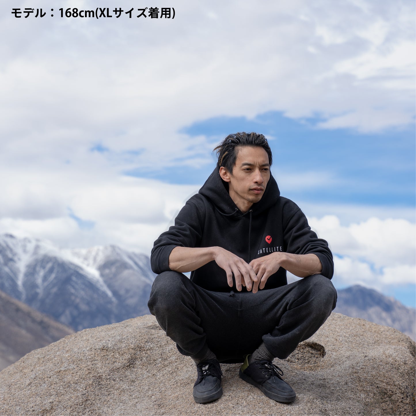 Satellite Logo Hoodie